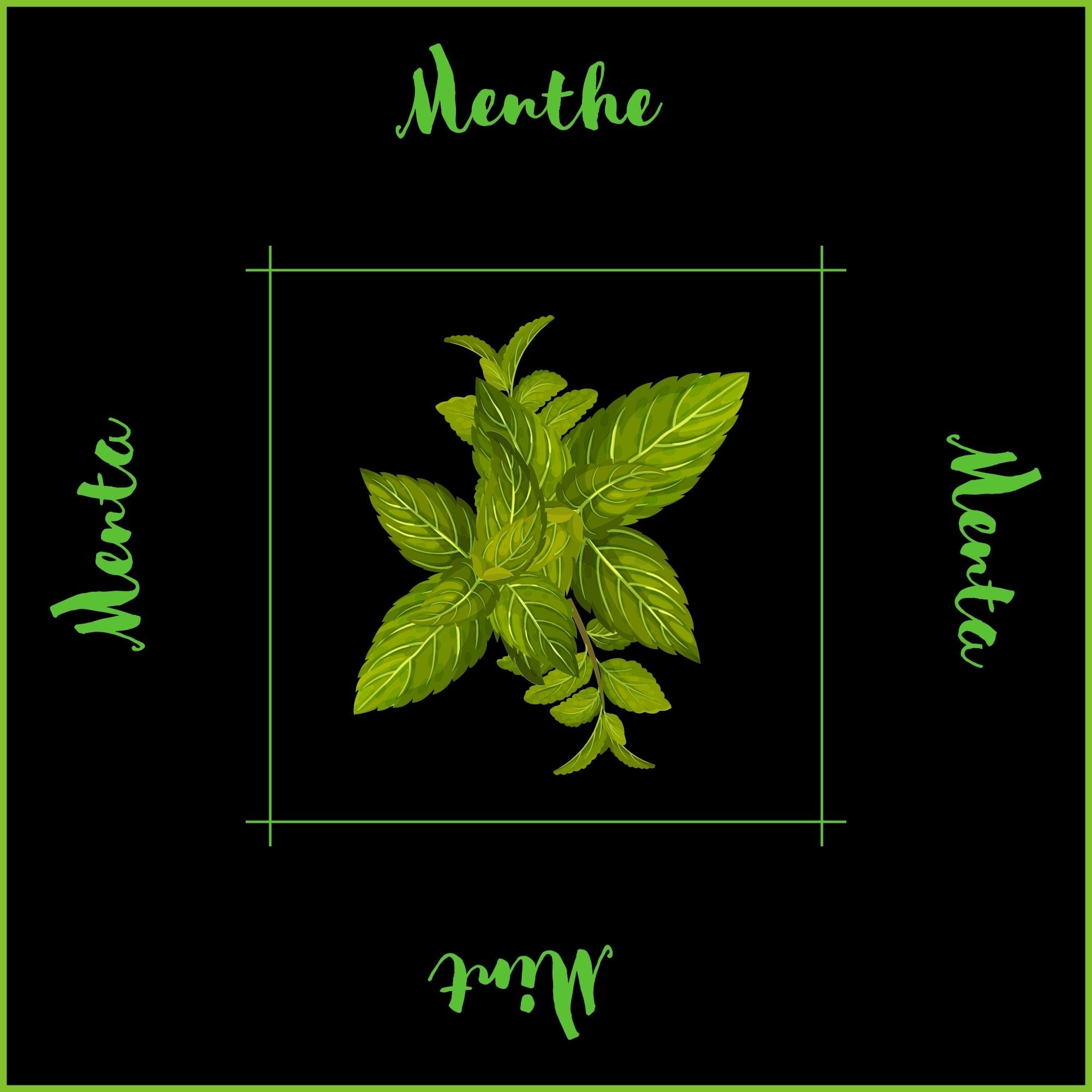 Maison Mixy -  serviette de table collection Fines herbes - modèle menthe