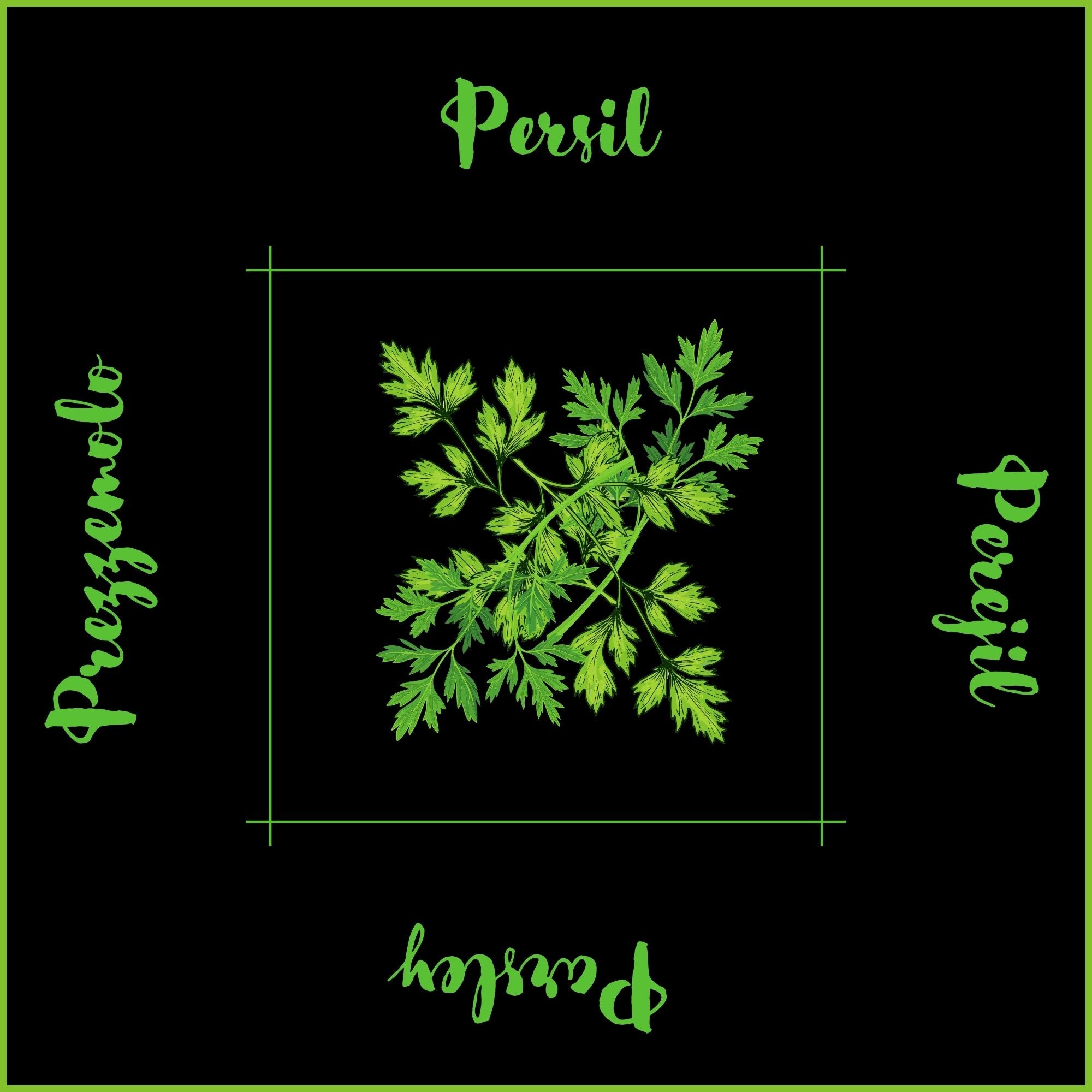 Maison Mixy -  serviette de table collection Fines herbes - modèle persil